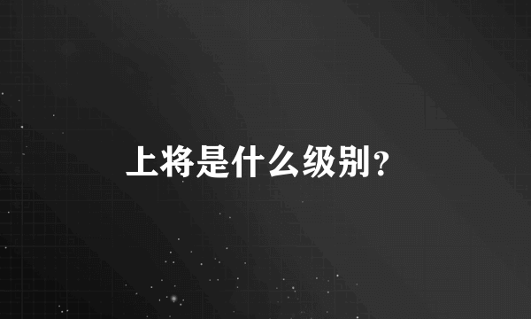 上将是什么级别？