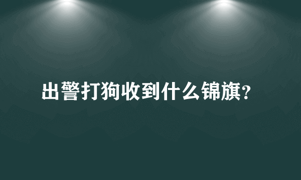 出警打狗收到什么锦旗？
