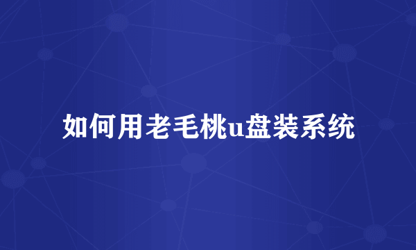 如何用老毛桃u盘装系统