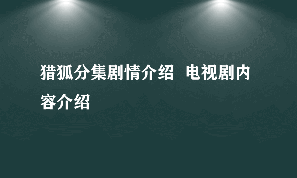 猎狐分集剧情介绍  电视剧内容介绍