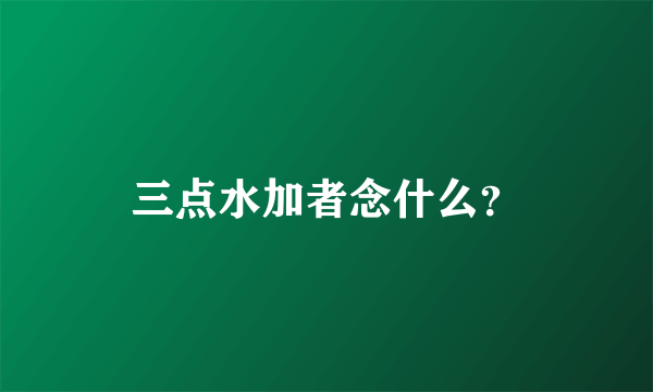 三点水加者念什么？