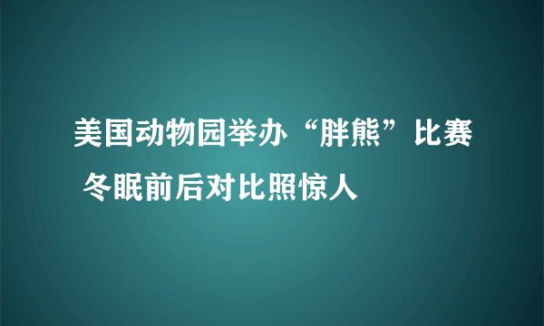 美国动物园举办“胖熊”比赛 冬眠前后对比照惊人