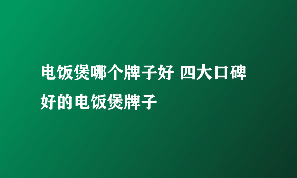 电饭煲哪个牌子好 四大口碑好的电饭煲牌子
