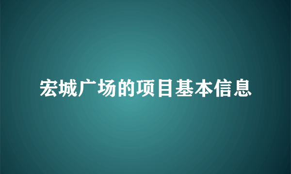 宏城广场的项目基本信息
