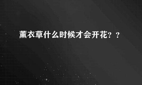 薰衣草什么时候才会开花？？