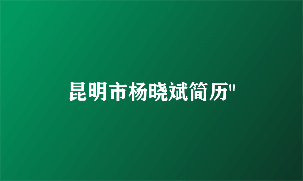 昆明市杨晓斌简历