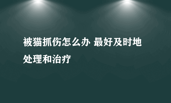 被猫抓伤怎么办 最好及时地处理和治疗