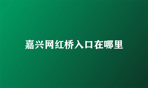 嘉兴网红桥入口在哪里