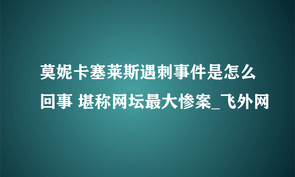 莫妮卡塞莱斯遇刺事件是怎么回事 堪称网坛最大惨案_飞外网