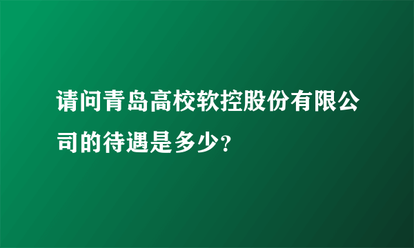 请问青岛高校软控股份有限公司的待遇是多少？