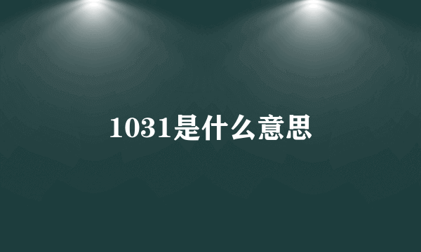 1031是什么意思