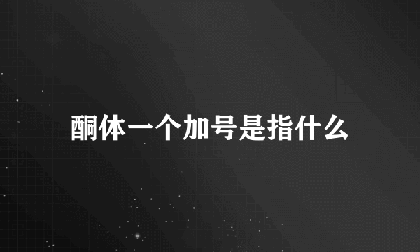 酮体一个加号是指什么