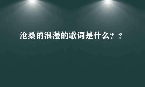沧桑的浪漫的歌词是什么？？