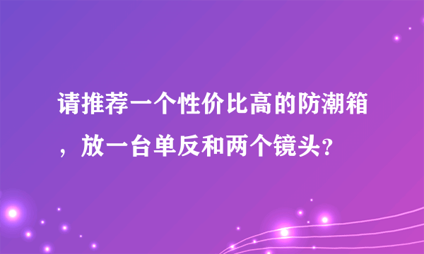 请推荐一个性价比高的防潮箱，放一台单反和两个镜头？