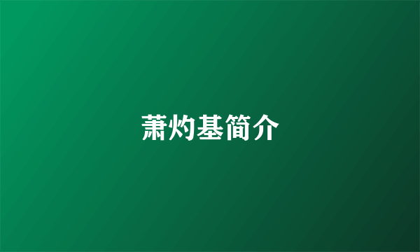 萧灼基简介