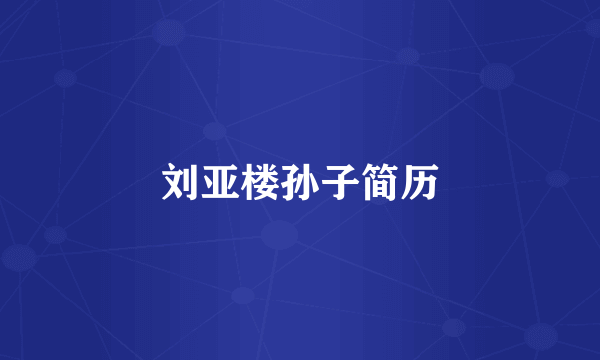 刘亚楼孙子简历