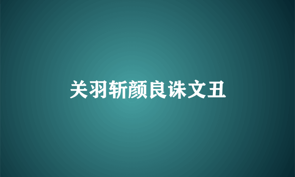 关羽斩颜良诛文丑