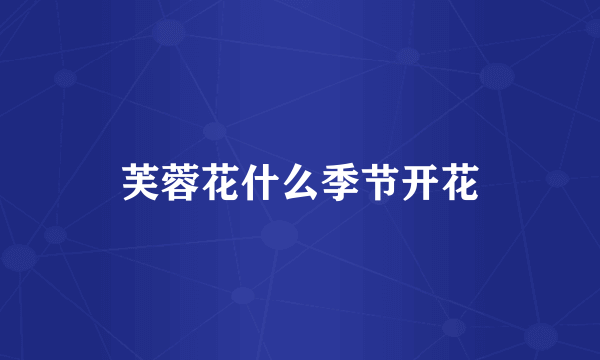 芙蓉花什么季节开花