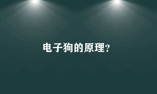 电子狗的原理？