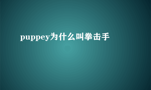 puppey为什么叫拳击手