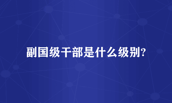 副国级干部是什么级别?