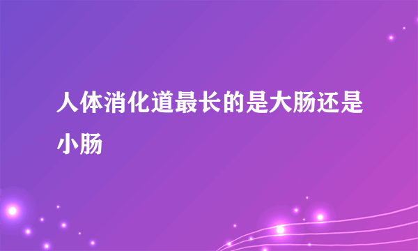 人体消化道最长的是大肠还是小肠