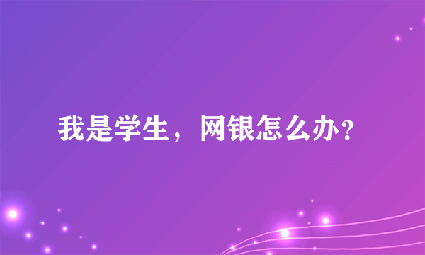 我是学生，网银怎么办？