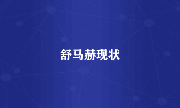 舒马赫现状