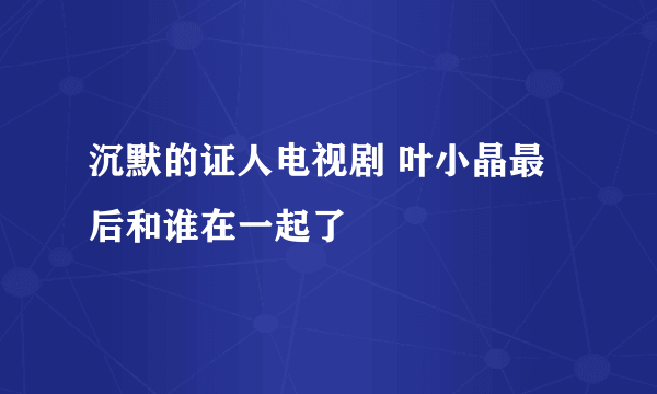沉默的证人电视剧 叶小晶最后和谁在一起了