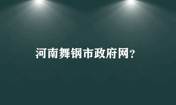 河南舞钢市政府网？