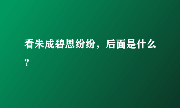 看朱成碧思纷纷，后面是什么？
