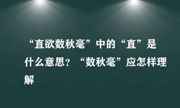 “直欲数秋毫”中的“直”是什么意思？“数秋毫”应怎样理解