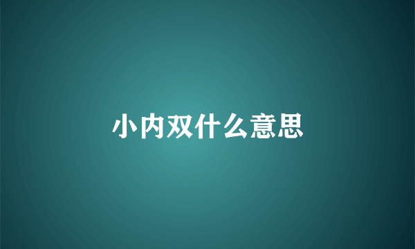 小内双什么意思