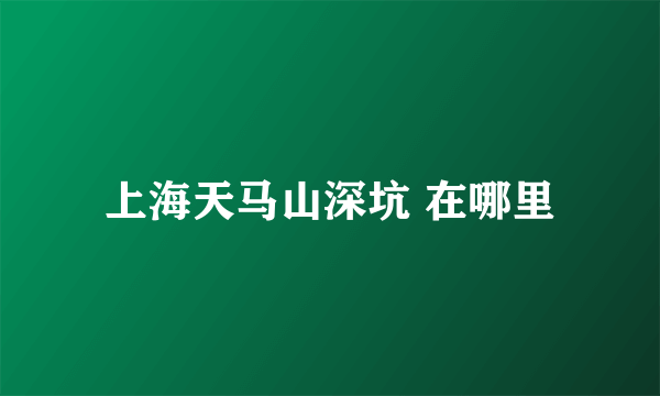 上海天马山深坑 在哪里