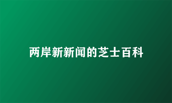 两岸新新闻的芝士百科