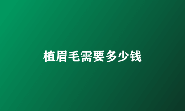植眉毛需要多少钱