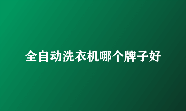 全自动洗衣机哪个牌子好