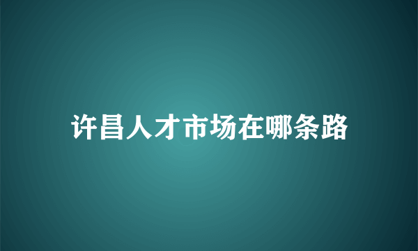 许昌人才市场在哪条路