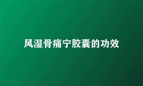 风湿骨痛宁胶囊的功效