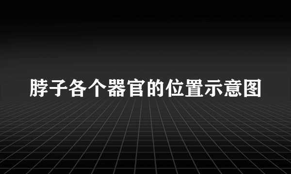 脖子各个器官的位置示意图