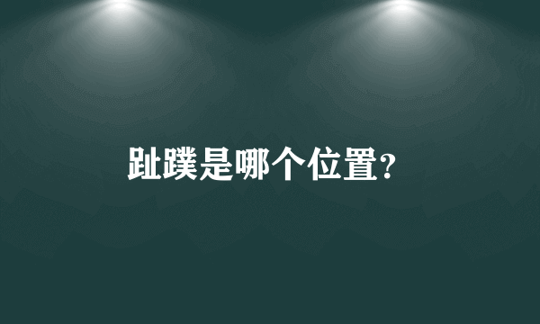 趾蹼是哪个位置？
