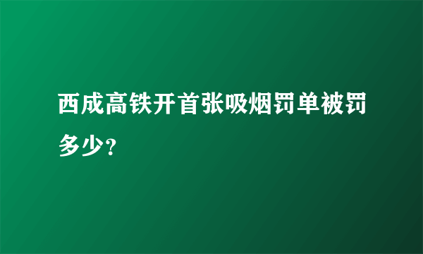 西成高铁开首张吸烟罚单被罚多少？