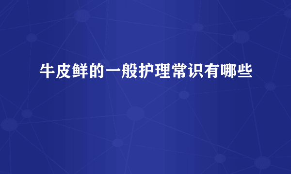 牛皮鲜的一般护理常识有哪些