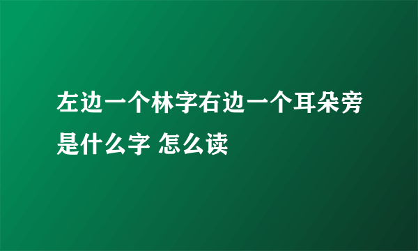 左边一个林字右边一个耳朵旁是什么字 怎么读