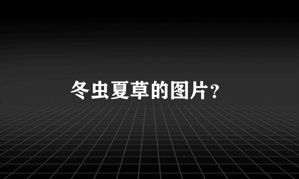 冬虫夏草的图片？