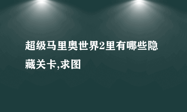 超级马里奥世界2里有哪些隐藏关卡,求图