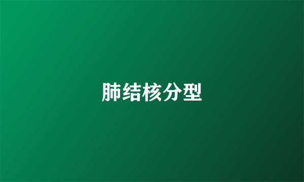 肺结核分型