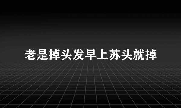 老是掉头发早上苏头就掉