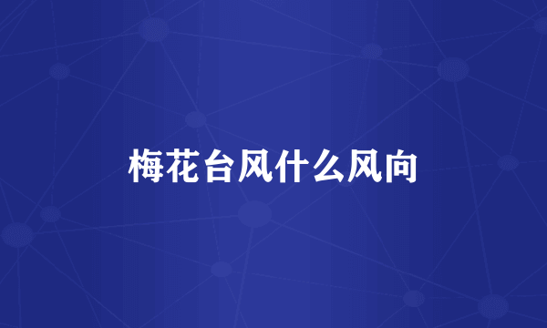 梅花台风什么风向