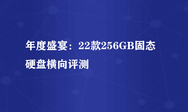 年度盛宴：22款256GB固态硬盘横向评测